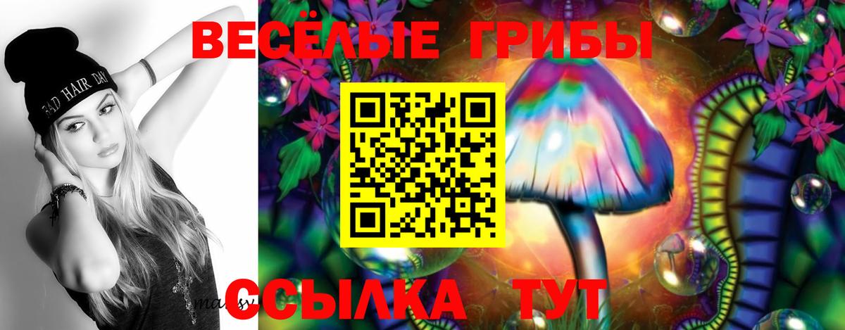 Псилоцибиновые грибы прущие грибы  Вход с VPN  купить закладку  Комсомольск-на-Амуре 